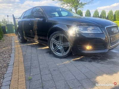 Audi a3 8p lift