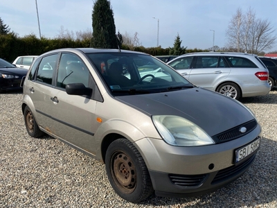 Ford Fiesta VI 1.25 i 16V 75KM 2004