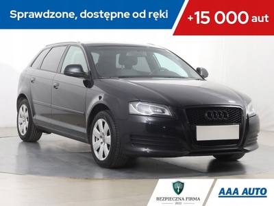 Audi A3 8P Hatchback 3d 1.4 TFSI 125KM 2009