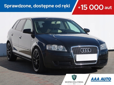 Audi A3 8P Hatchback 3d 1.8 TFSI 160KM 2007