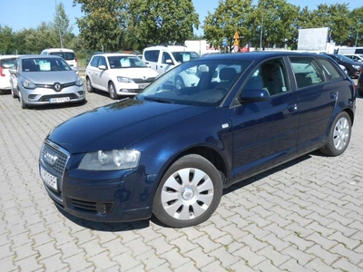 Audi A3 8P Hatchback 3d 1.9 TDI 105KM 2006