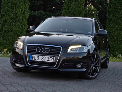 Audi A3 8P Hatchback 3d 2.0 TDI PD 140KM 2008