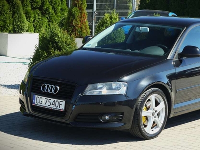 Audi A3 8P Hatchback 3d 2.0 TDI PD 140KM 2008