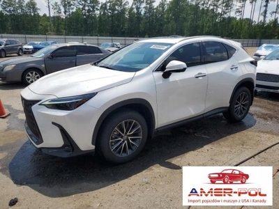 Lexus NX II 2024