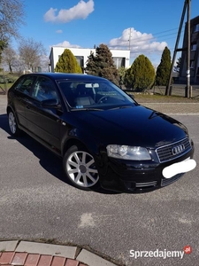 Audi A3 8p 1.6 mpi