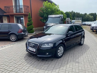 Audi A3 8P Hatchback 3d 1.6 TDI 105KM 2010