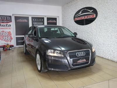 Audi A3 8P Hatchback 3d 1.9 TDI 105KM 2008