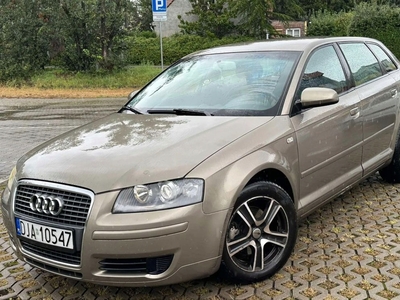 Audi A3 8P Hatchback 3d 2.0 FSI 150KM 2004