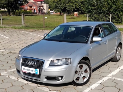 Audi A3 8P Hatchback 3d 2.0 TDI PD 170KM 2006