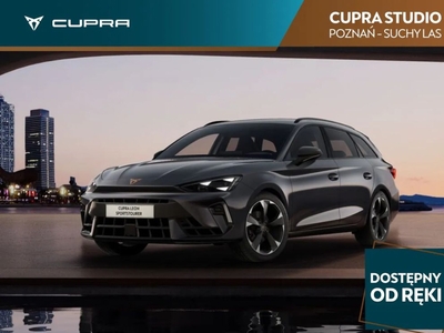 Cupra 2024