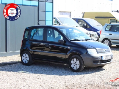 Fiat Panda II Hatchback 5d 1.1 MPI 54KM 2006