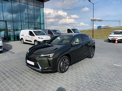 Lexus 2019