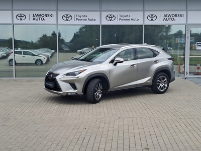 Lexus NX I SUV Facelifting 300h 197KM 2020