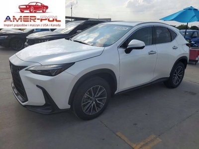 Lexus NX II 2024