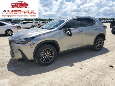 Lexus NX II 2024