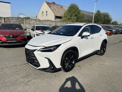 Lexus NX II 2024