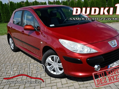 Peugeot 307 II 2006