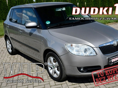 Skoda Fabia II 2008