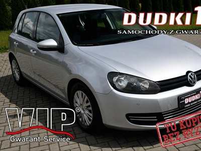 Volkswagen Golf VI Hatchback 5d 1.6 TDI-CR DPF BlueMotion 105KM 2010