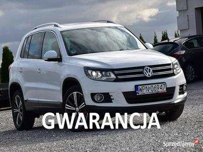 Volkswagen Tiguan 2,0TDI 177KM 4x4 Navi Led Xenon Skóra Pan…