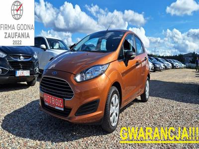 Ford Fiesta VII Hatchback 3d Facelifting 1.25 60KM 2015