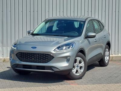 Ford Kuga III SUV 2,0 EcoBlue 120KM 2022