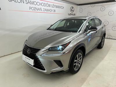 Lexus NX I SUV Facelifting 300 238KM 2019