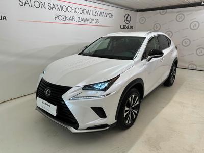 Lexus NX I SUV Facelifting 300h 197KM 2021