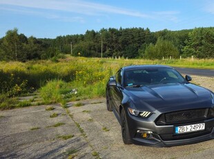 Używany Ford Mustang 2017