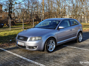 Audi A3 1,6 MPI (102KM)