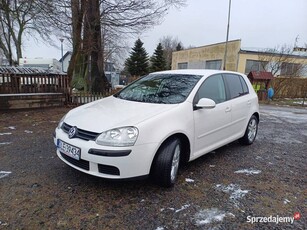 Volkswagen Golf V Hatchback 1.9 TDI 105KM 2008r * 5drzwi * klima * salon PL