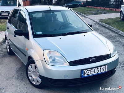 Ford Fiesta VI / 1.3 Benzyna / Krajowy