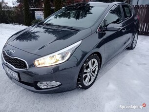 Kia Ceed manetki zmiany biegów,Keyless Go, automat, kamera, wersja sport