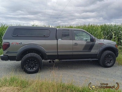 Ford F-Series F-100/F-150