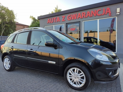 Renault Clio III Rip Curl Super Stan