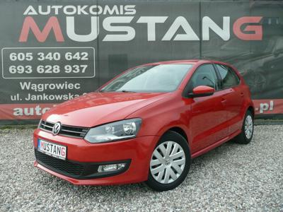 Volkswagen Polo V Hatchback 5d 1.6 TDI-CR DPF 90KM 2009