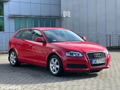 Audi A3 1.6 Attraction