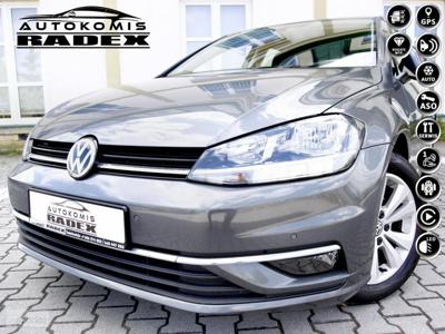 Volkswagen Golf VIII Navi/Parktronic/Klimatronic/Tempomat/ Bluetooth/ Serwisowany/GWARANC