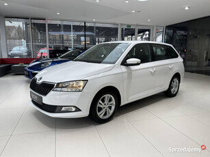 Škoda Fabia Ambition, PDC, Tempomat, Salon PL, 1-wł, FV-23%, gwarancja, DO…