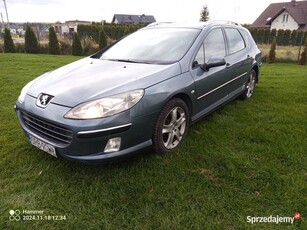 Peugeot 407 sw 2.0 hdi