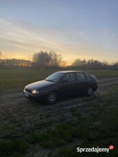 Seat cordoba 1.4 60km