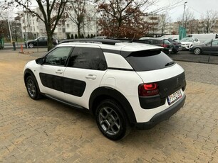 Citroen C4 Cactus Panorama - bogate wyposażenie