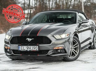 Ford Mustang Lift ! Cabrio 2.3i 317KM Super Stan ! Zarejestrowany !