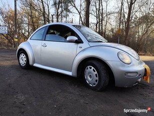 New beetle