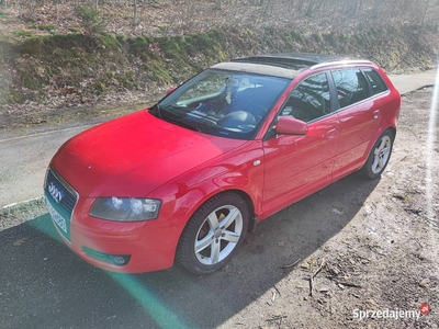 Audi A3 QUATTRO 2.O TDI 140KM 2006 Panorama