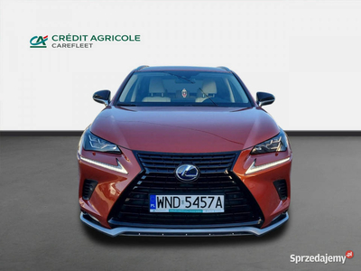 Lexus NX 300h F Impression AWD Kombi. WND5457A II (2021-)