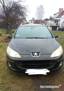 Peugeot 407