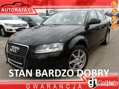 Audi A3 1.6 Mpi Attraction Klimatronic X 2 Podgrzewane Fote…