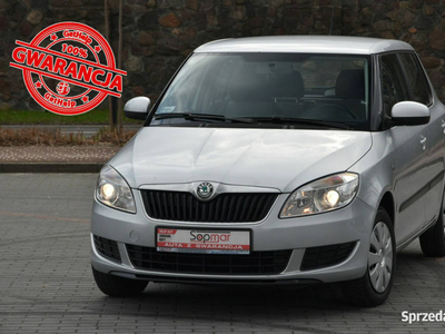 Škoda Fabia 1.4TDI 80KM 2010r. Klima Isofix II (2007-2014)