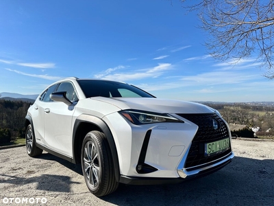 Lexus UX 300e 54.3 kWh Business Edition 2WD